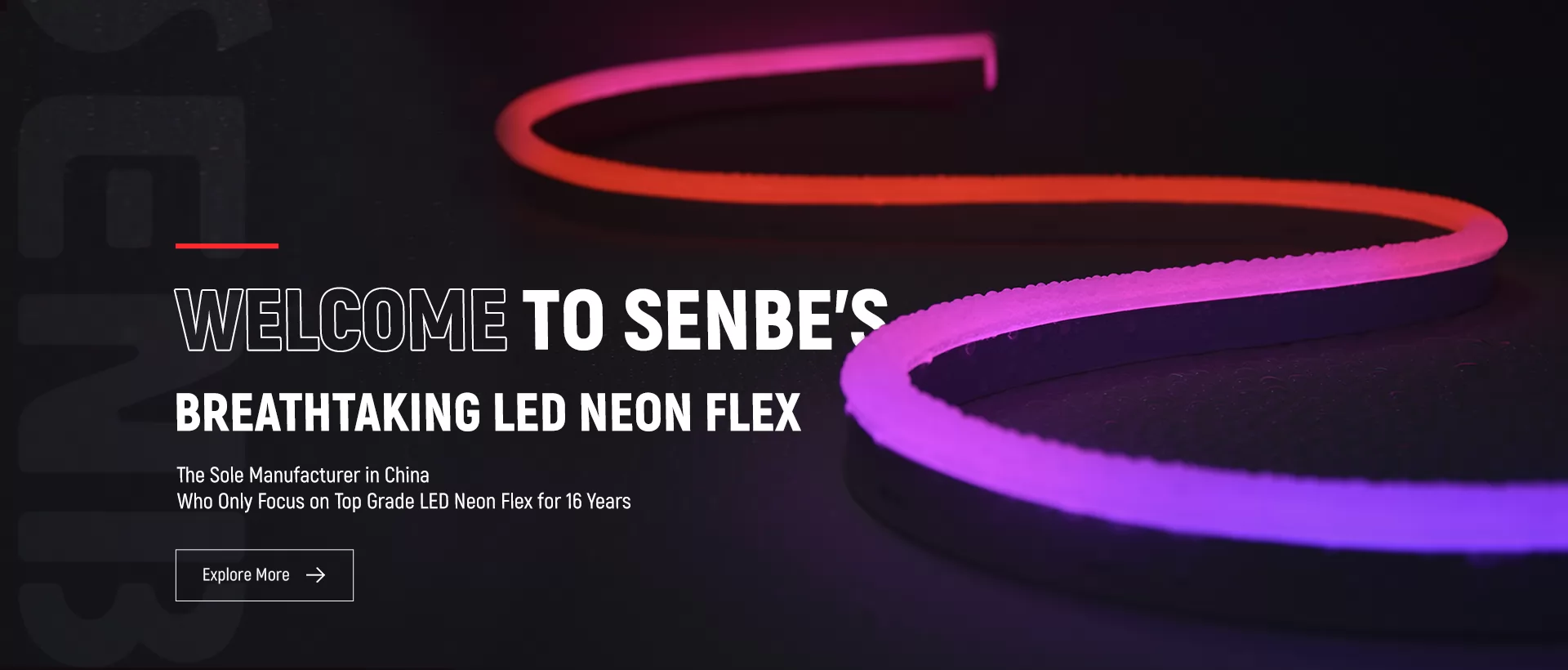 Senbe Lighting